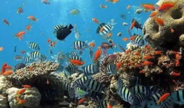 一线吃瓜娱乐圈by海底监,海底监揭秘一线明星幕后故事