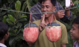 国外吃瓜爆料叫什么来着,揭秘国外“吃瓜爆料”背后的真相与内幕